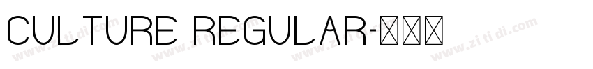 Culture Regular字体转换
